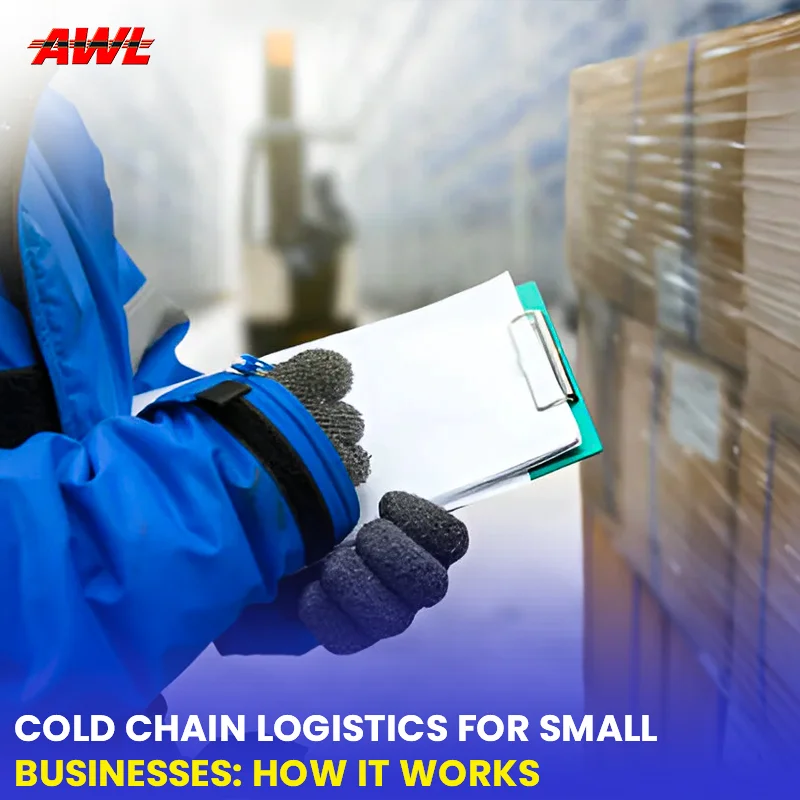 Cold Chain Logistics for Small Businesses: How It Works